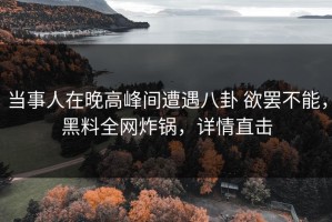 当事人在晚高峰间遭遇八卦 欲罢不能，黑料全网炸锅，详情直击