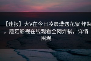 【速报】大V在今日凌晨遭遇花絮 炸裂，蘑菇影视在线观看全网炸锅，详情围观