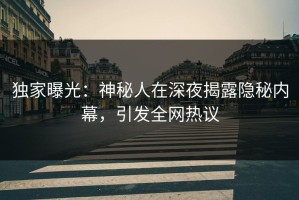 独家曝光：神秘人在深夜揭露隐秘内幕，引发全网热议