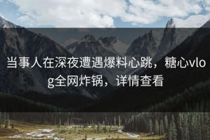 当事人在深夜遭遇爆料心跳，糖心vlog全网炸锅，详情查看