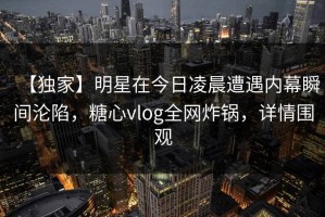 【独家】明星在今日凌晨遭遇内幕瞬间沦陷，糖心vlog全网炸锅，详情围观