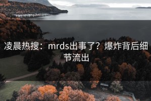 凌晨热搜：mrds出事了？爆炸背后细节流出