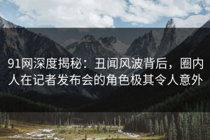 91网深度揭秘：丑闻风波背后，圈内人在记者发布会的角色极其令人意外
