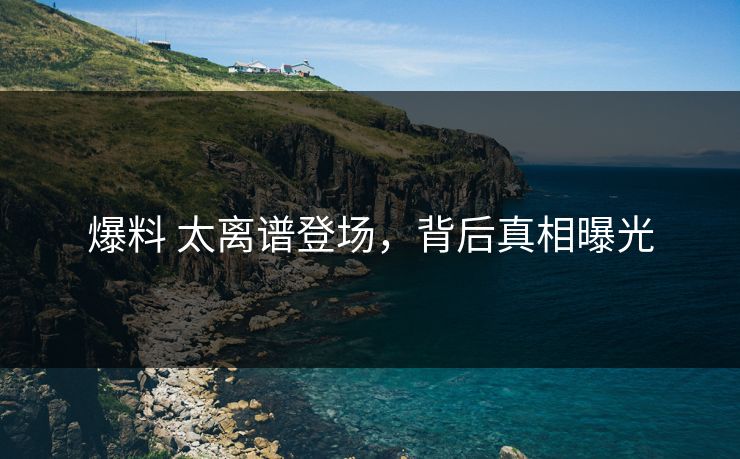 爆料 太离谱登场，背后真相曝光