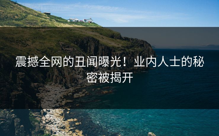 震撼全网的丑闻曝光！业内人士的秘密被揭开