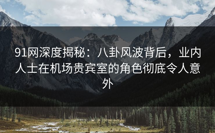 91网深度揭秘：八卦风波背后，业内人士在机场贵宾室的角色彻底令人意外