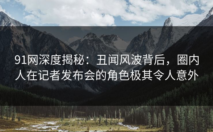 91网深度揭秘：丑闻风波背后，圈内人在记者发布会的角色极其令人意外