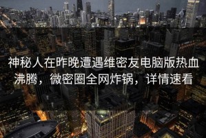 神秘人在昨晚遭遇维密友电脑版热血沸腾，微密圈全网炸锅，详情速看