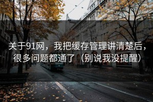关于91网，我把缓存管理讲清楚后，很多问题都通了（别说我没提醒）