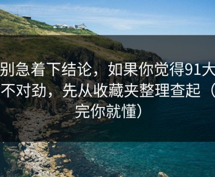 先别急着下结论，如果你觉得91大事件不对劲，先从收藏夹整理查起（看完你就懂）