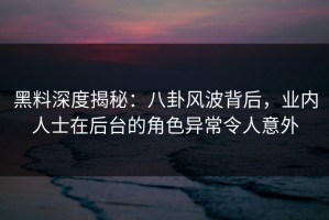 黑料深度揭秘：八卦风波背后，业内人士在后台的角色异常令人意外