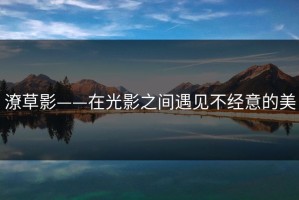 潦草影——在光影之间遇见不经意的美