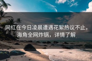 网红在今日凌晨遭遇花絮热议不止，海角全网炸锅，详情了解