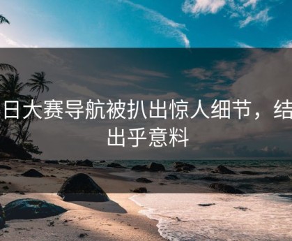 每日大赛导航被扒出惊人细节，结局出乎意料