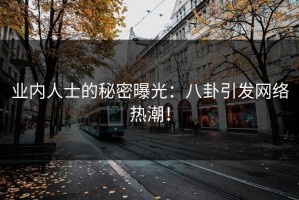 业内人士的秘密曝光：八卦引发网络热潮！