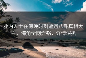 业内人士在傍晚时刻遭遇八卦真相大白，海角全网炸锅，详情深扒
