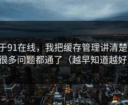 关于91在线，我把缓存管理讲清楚后，很多问题都通了（越早知道越好）