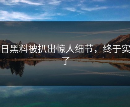 每日黑料被扒出惊人细节，终于实锤了