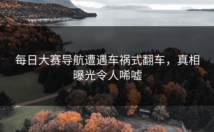 每日大赛导航遭遇车祸式翻车，真相曝光令人唏嘘