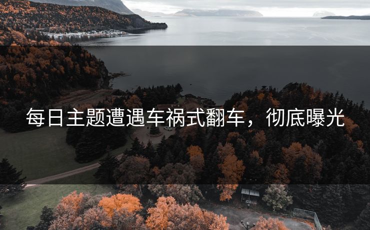 每日主题遭遇车祸式翻车，彻底曝光