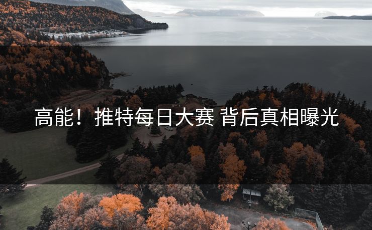 高能！推特每日大赛 背后真相曝光