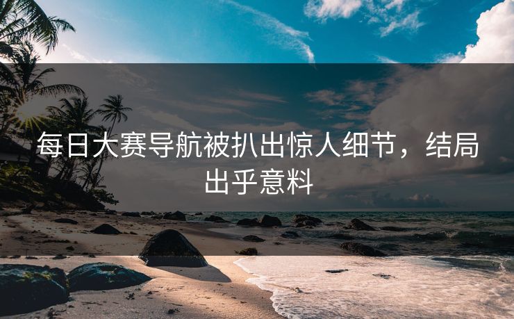 每日大赛导航被扒出惊人细节，结局出乎意料