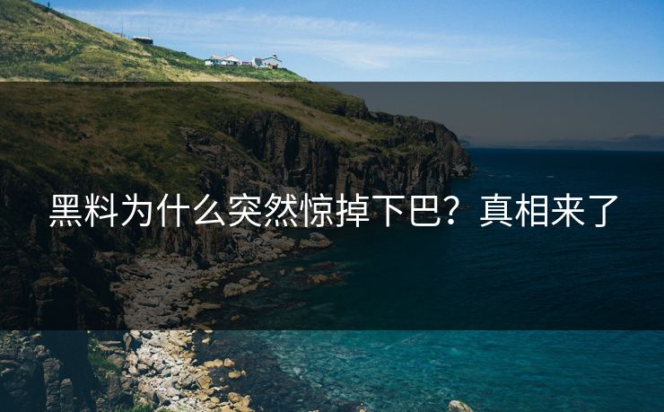 黑料为什么突然惊掉下巴？真相来了