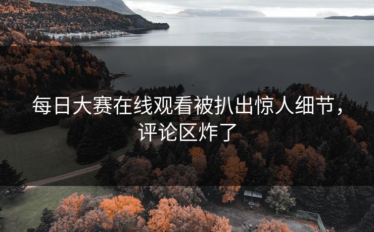 每日大赛在线观看被扒出惊人细节，评论区炸了