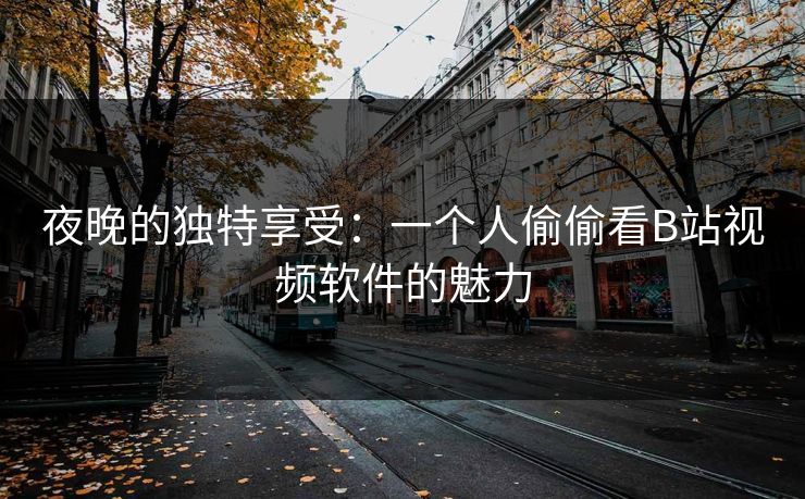 夜晚的独特享受：一个人偷偷看B站视频软件的魅力