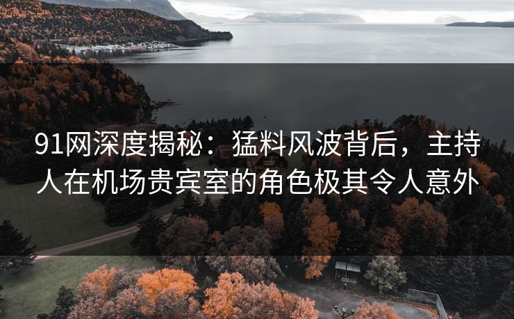 91网深度揭秘：猛料风波背后，主持人在机场贵宾室的角色极其令人意外