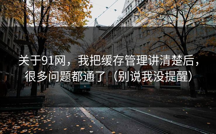 关于91网，我把缓存管理讲清楚后，很多问题都通了（别说我没提醒）